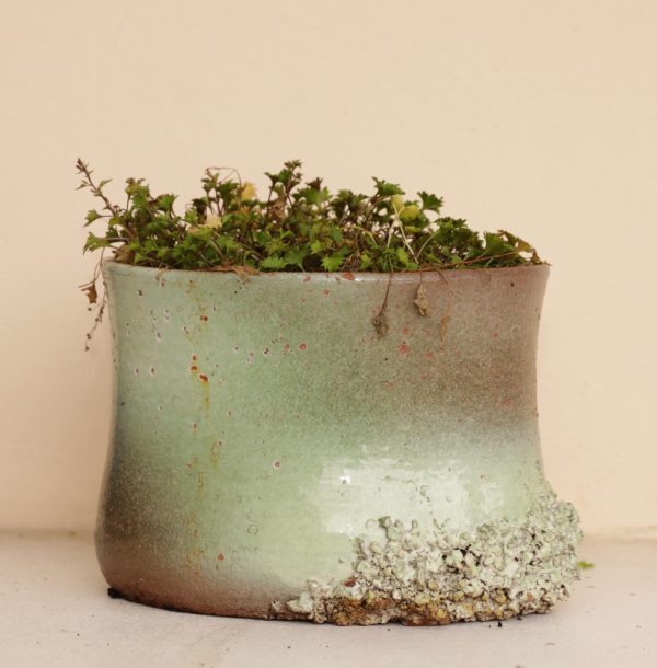 VASO REPERTO 1 - immagine 2