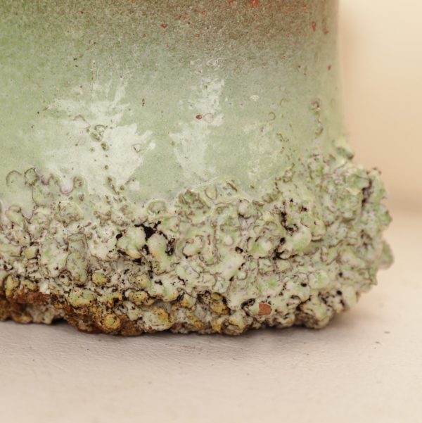 VASO REPERTO 1 - immagine 4