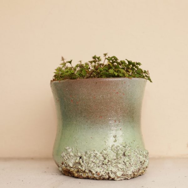 VASO REPERTO 1 - immagine 3