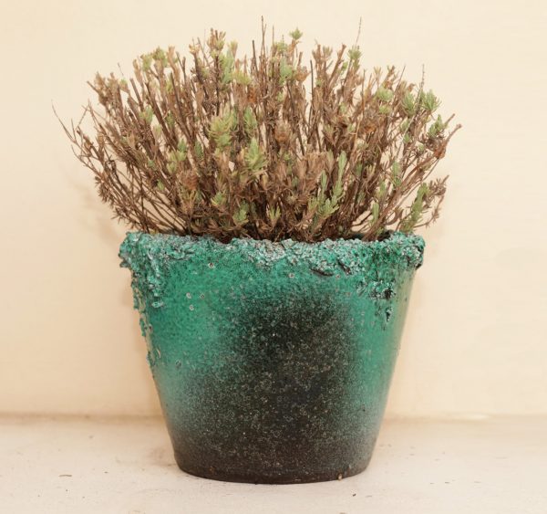 VASO REPERTO 4 - immagine 2