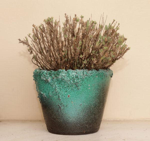 VASO REPERTO 4 - immagine 3