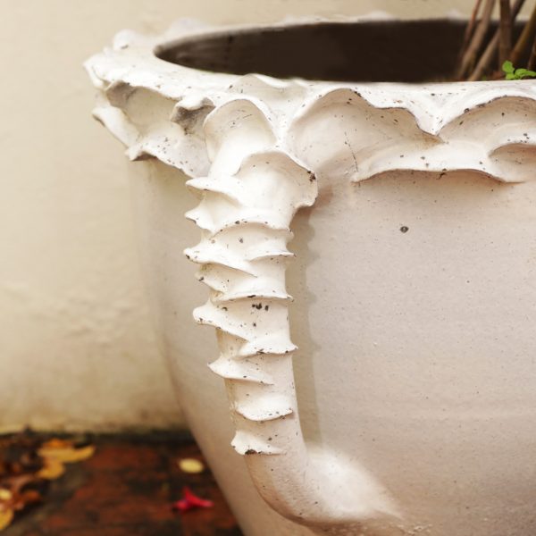 VASO ANEMONE - immagine 2