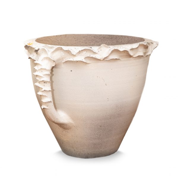 VASO ANEMONE